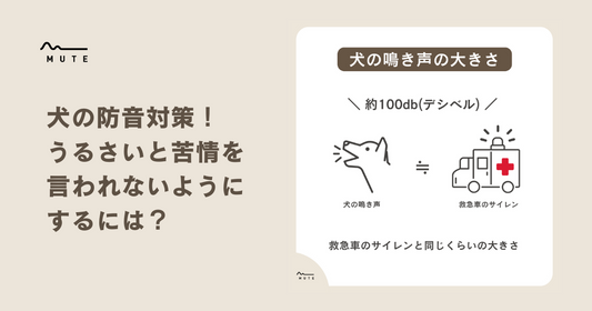 犬の防音対策!うるさいと苦情を言われないようにするには?