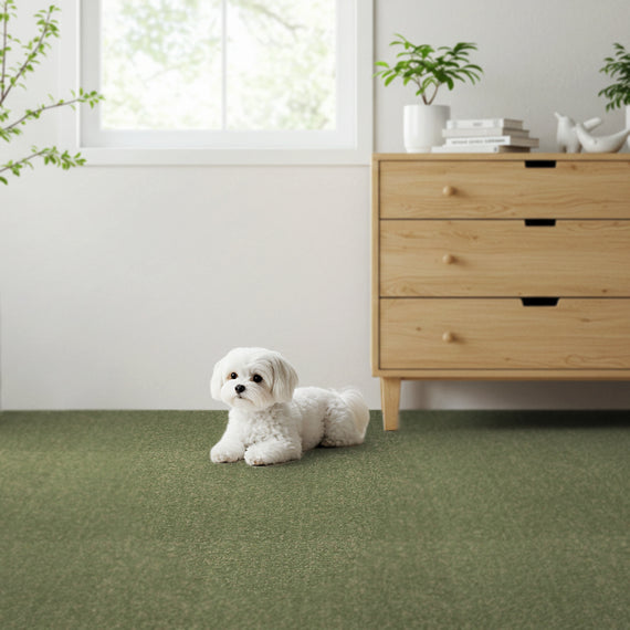 撥水カーペット UKU:グリーン