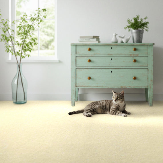 撥水カーペット UKU:ホワイト