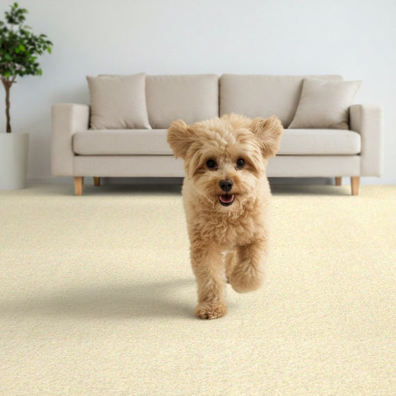 撥水カーペット UKU:ホワイト