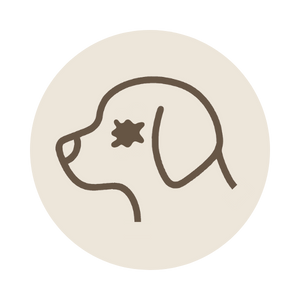Icon 5