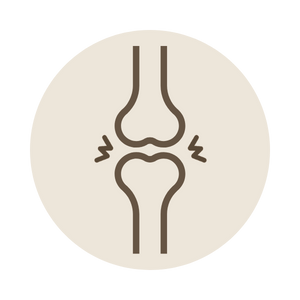 Icon 3